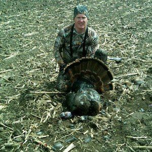 Meet your Posher, Peter